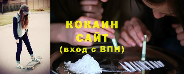 дмт Горняк