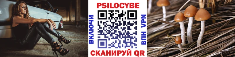 как найти наркотики Евпатория Галлюциногенные грибы мухоморы